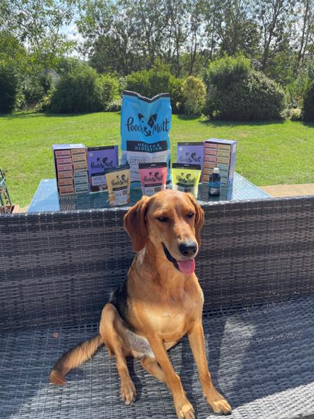 Sensitive Stomach Dry Dog Food | 1kg | Grain-Free Dog Kibble For Digestion Issues | Pooch & Mutt | Vet Recommended