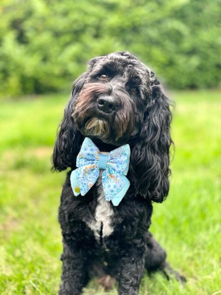 Dog Butterfly Bow Tie: Notting Hill Sky