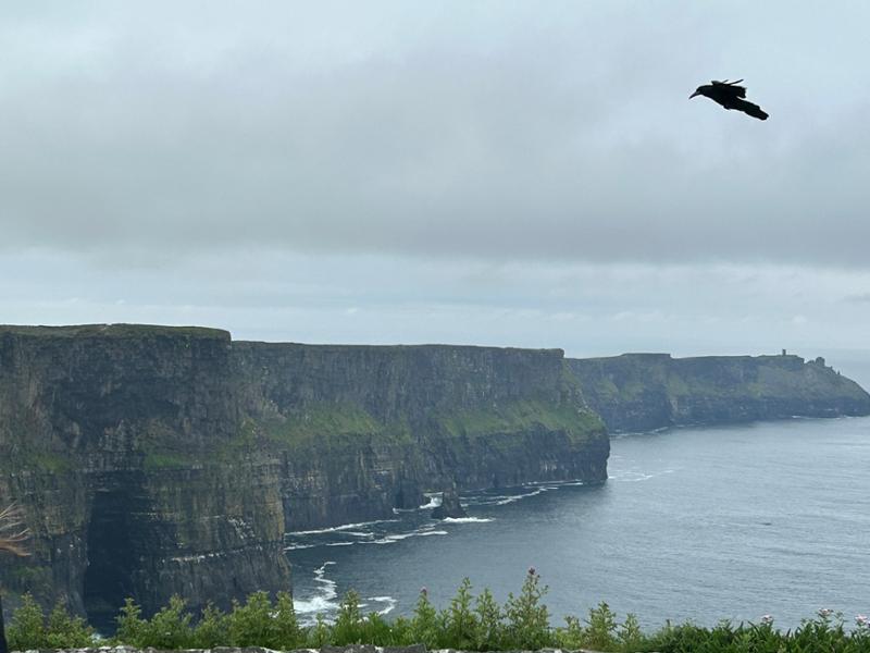 Best of Ireland