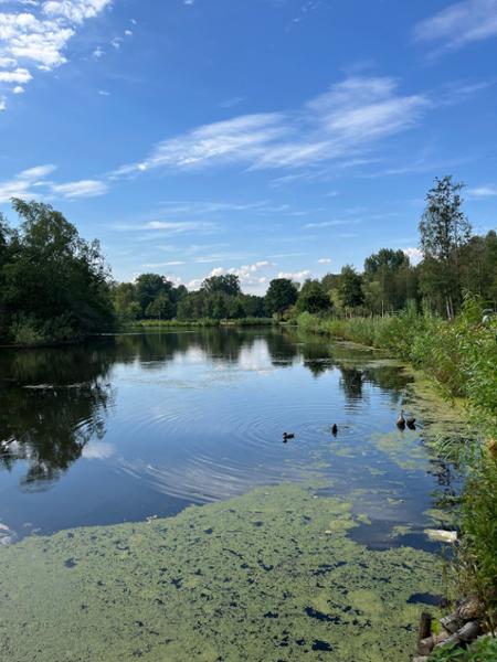 Comwell Bygholm Park