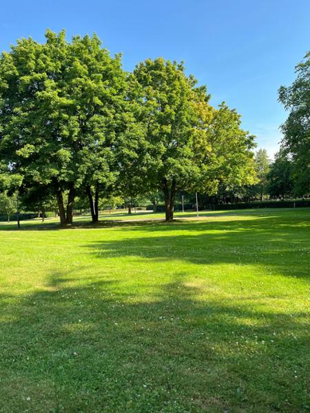 Comwell Bygholm Park