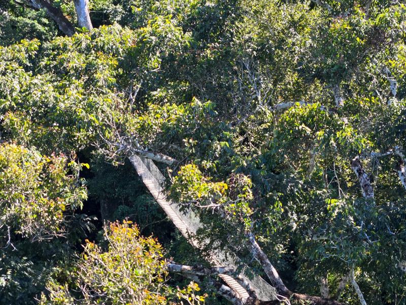 Land of the Incas with Post Peruvian Amazon