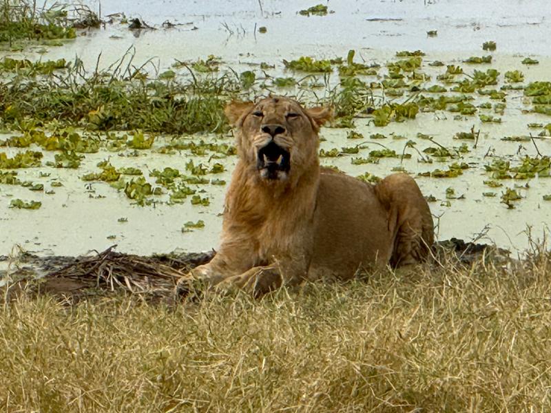 Tanzania