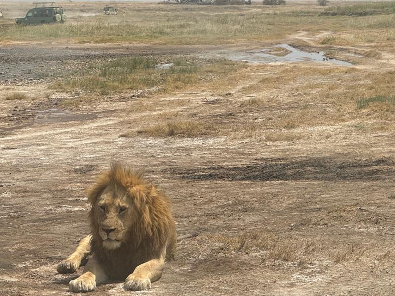 Tanzania