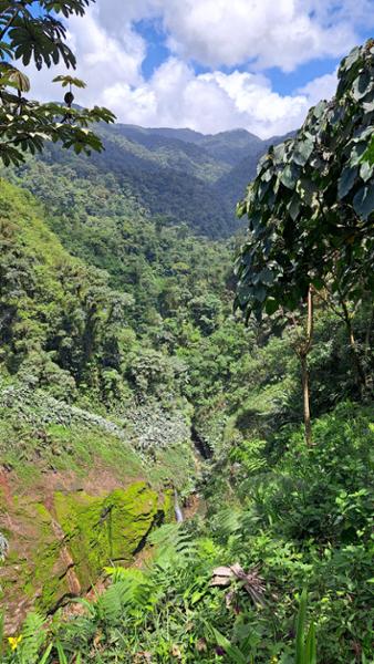 Magical Costa Rica with the wonderful Pura Aventura