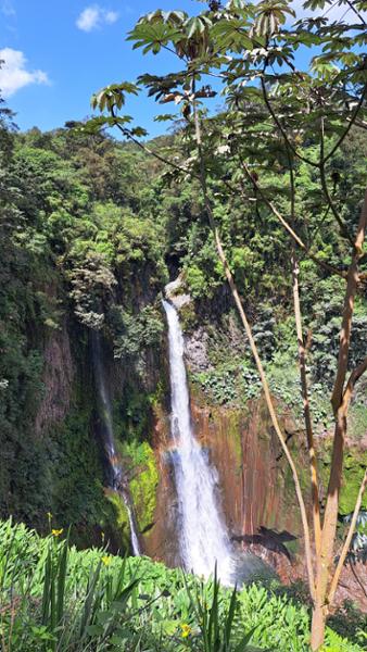 Magical Costa Rica with the wonderful Pura Aventura