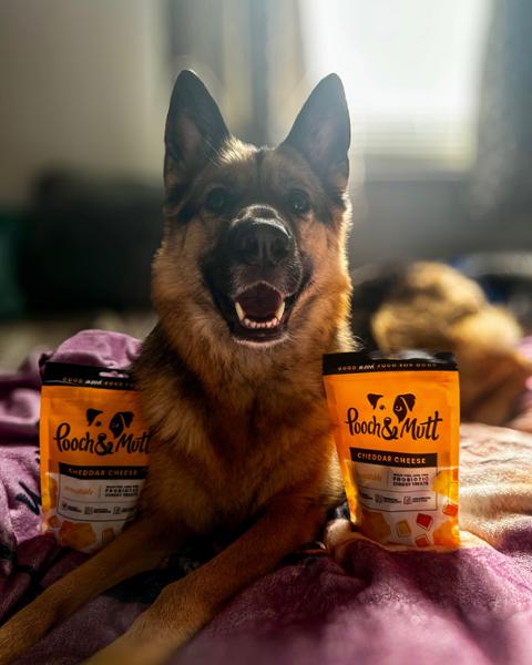 7 Pack Cheese Dog Treats | 7 x 120g | Vegetarian Dog Treats | Grain Free & Poultry Free | Vet Recommended | Pooch & Mutt