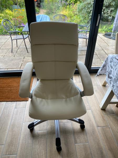 Nautilus Greenwich Leather Executive Chair