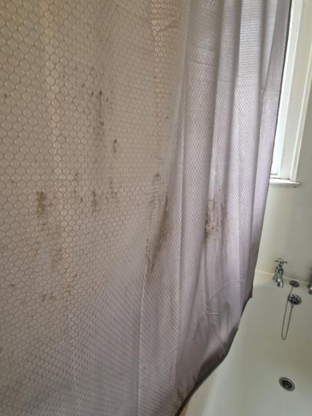 Marchmont apartment review