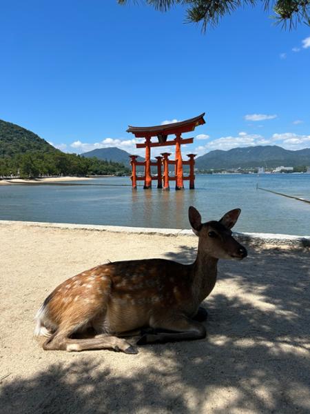 Splendors of Japan with Hiroshima