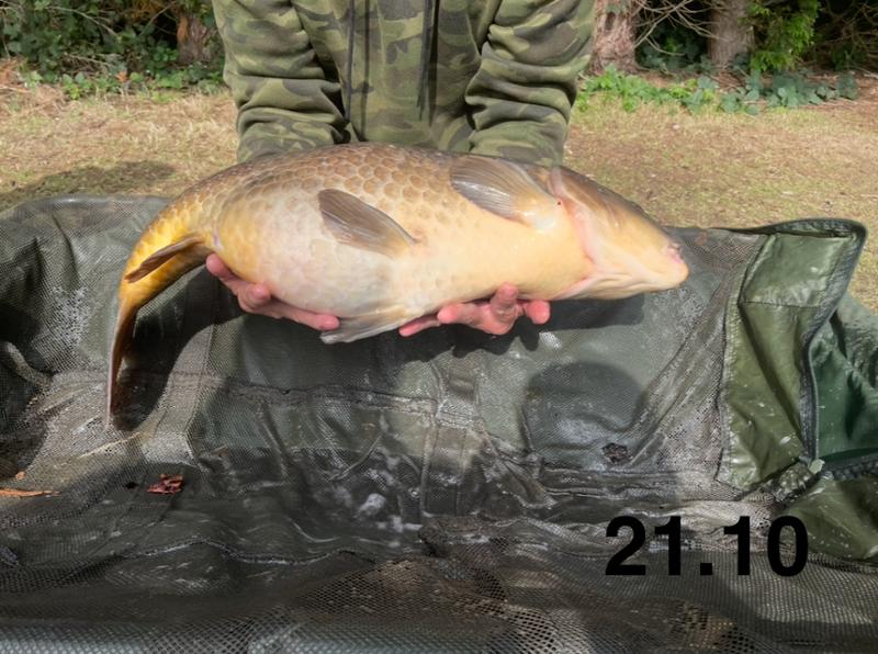 Angling Direct are a massive part of my Fishing 👌