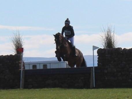 Suppleaze Gold | Horse Joint Supplement