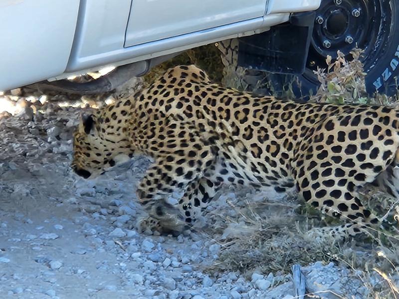 5462-Ultimate African Adventure