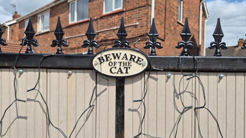 Beware of Cat Oval Cast Iron Sign