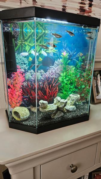 Moneywort Plastic Aquarium plants