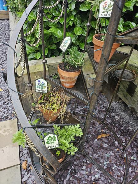 Set of Ten Herb Garden Markers