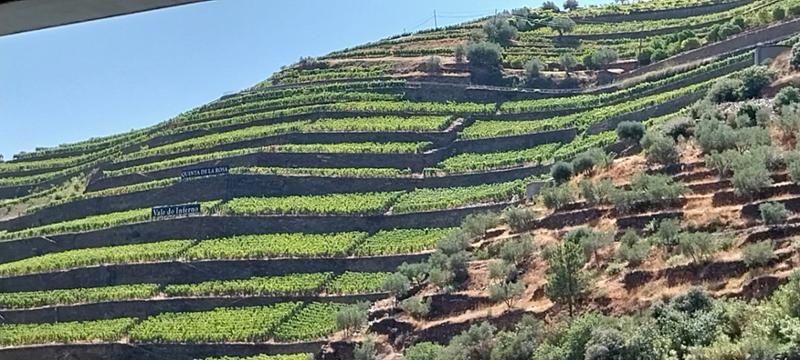 Douro July '25