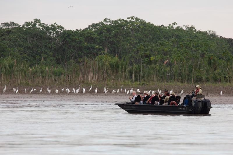Peruvian Rivers & Rainforest Discovery