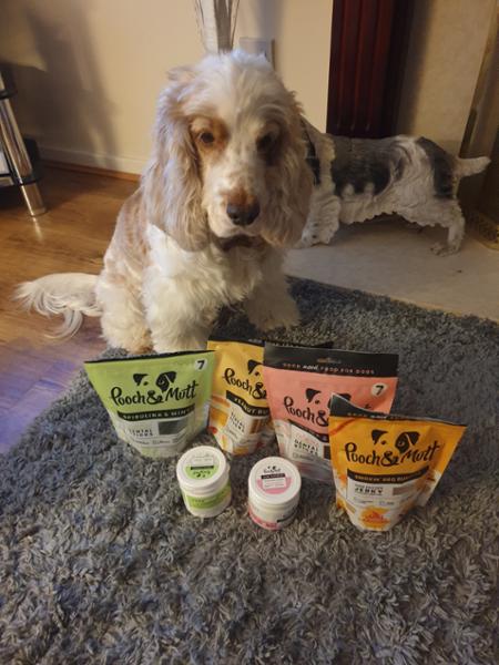 BBQ Beef Jerky for Dogs | 90% Baltic Beef | 90g | High Protein Dog Treats | Grain-Free | Pooch & Mutt