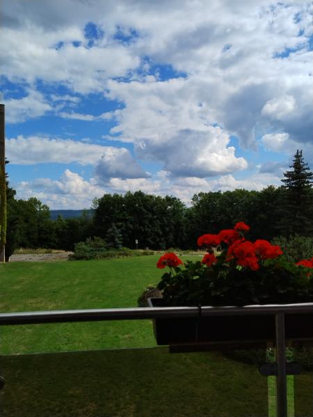Harz Hotel Vogelberg