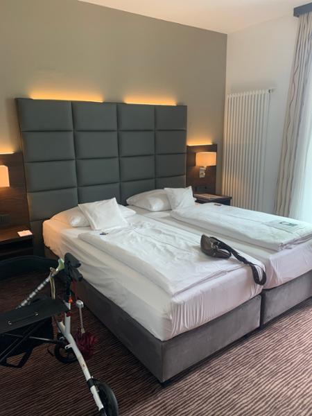 Best Western Plus Hotel Ostertor