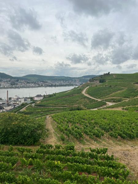 Parkhotel Rüdesheim