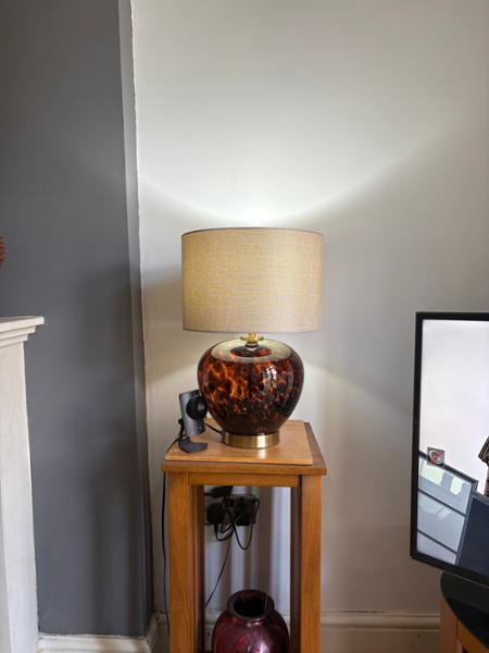 Tortoiseshell lamp