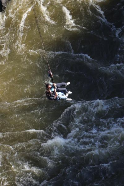 Cape Safari and Falls