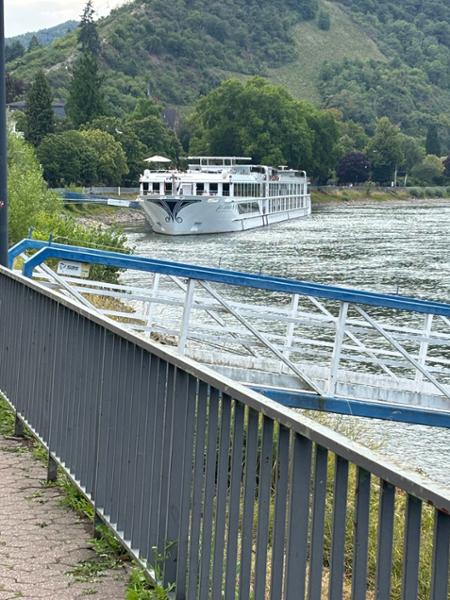 Castles along The Rhine
