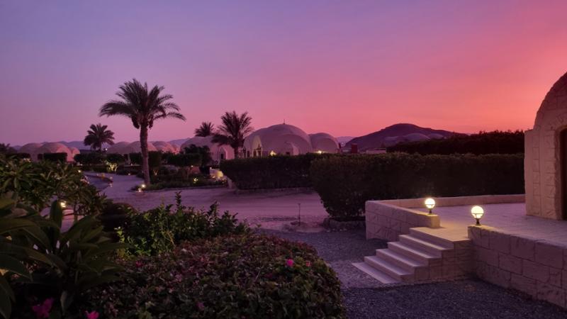 Best diving holiday company for Red Sea