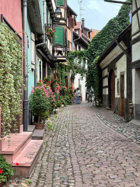 Castles along The Rhine
