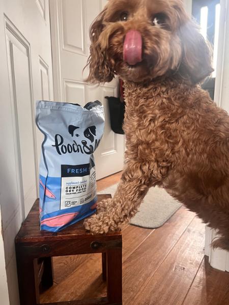 Fresh Salmon Dry Dog Food High In Protein | 50% Fresh Fish | 10kg | Single Protein Dog Food | Pooch & Mutt