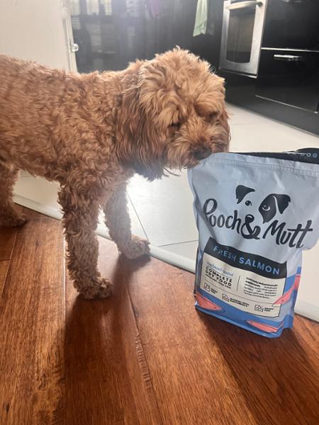 Fresh Salmon Dry Dog Food High In Protein | 50% Fresh Fish | 10kg | Single Protein Dog Food | Pooch & Mutt