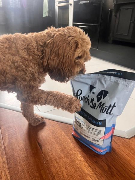 Fresh Salmon Dry Dog Food High In Protein | 50% Fresh Fish | 10kg | Single Protein Dog Food | Pooch & Mutt