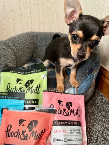 Spirulina & Mint Dental Sticks For Dogs | 7 Sticks | Daily Dental Chew for Dogs | Vet Recommended | Natural Ingredients | Pooch & Mutt