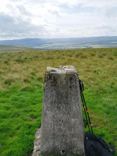Pinnacle Clip Lock Trekking Pole | RNLI Shop