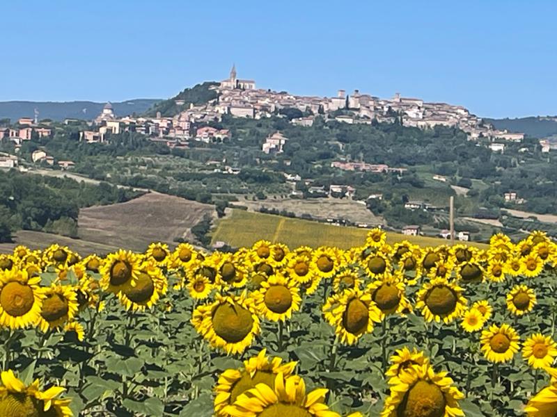 Villa Casale del Sole