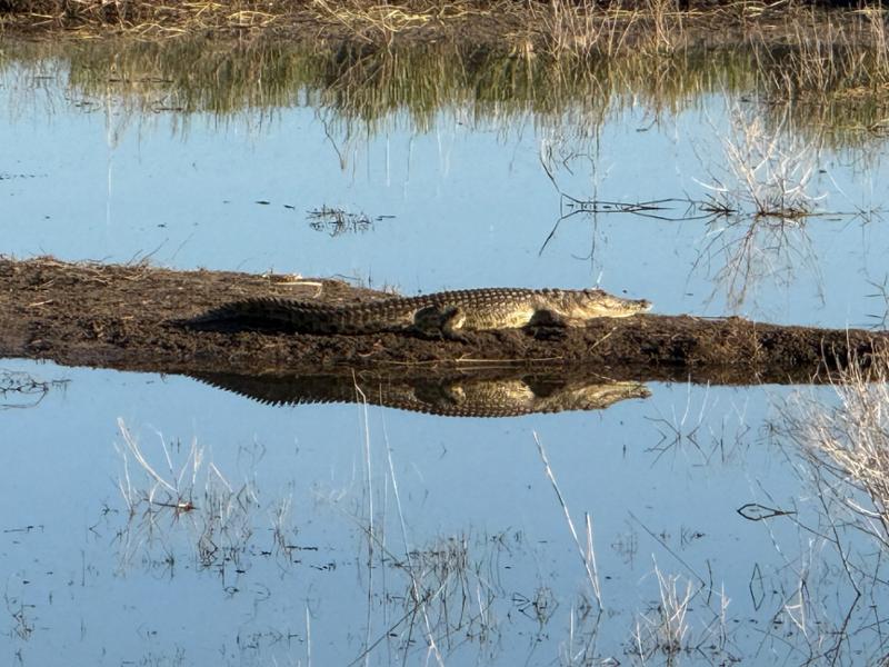 Victoria Falls to Okavango Safari: Wildlife & Natural Wonders