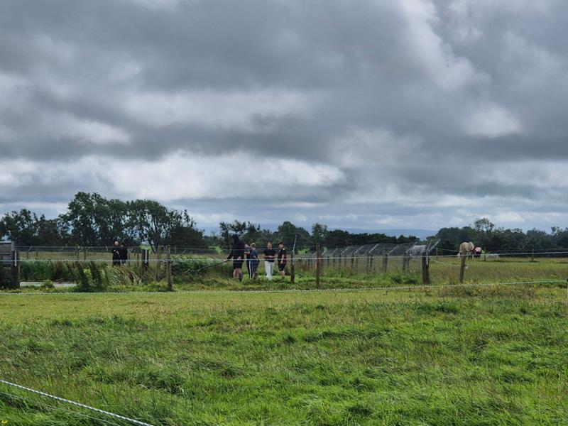 Kidsnape Farm