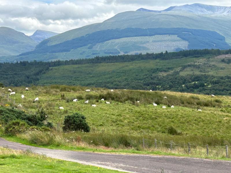 The Best of Ireland and Scotland