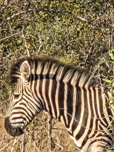 South Africa