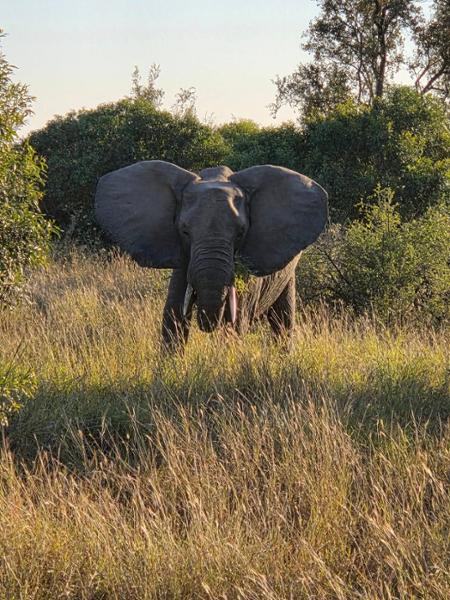 South Africa