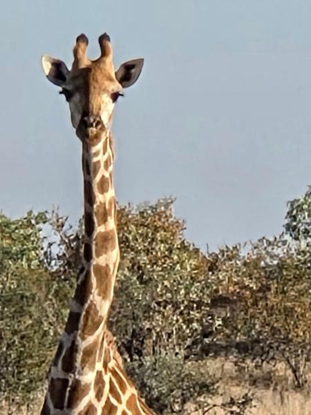 South Africa