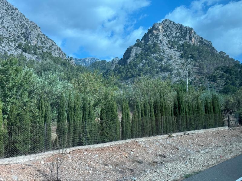 Your tour in Gibraltar - The Rock Revealed