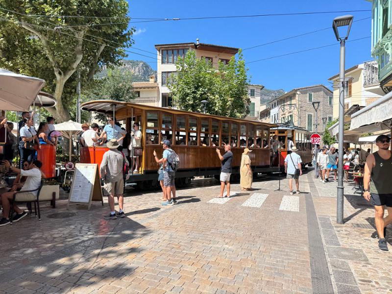 Your tour in Gibraltar - The Rock Revealed
