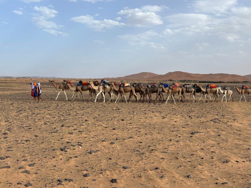 Best of Morocco