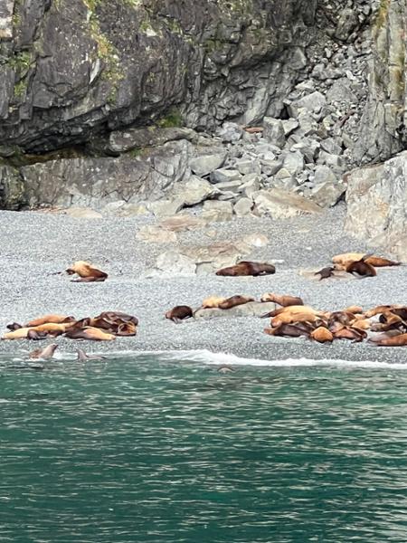 Majestic Alaska