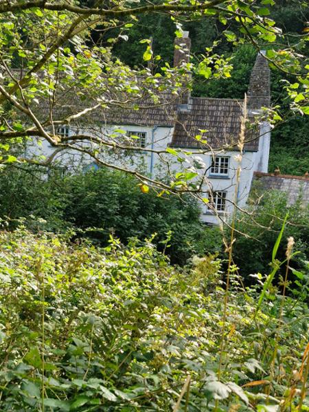 Peppercombe Coastguard Cottage 3