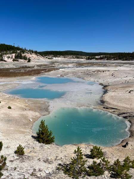 Montana: Exploring Big Sky Country on 07/15/2025