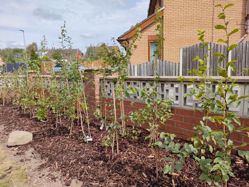Wildlife hedge